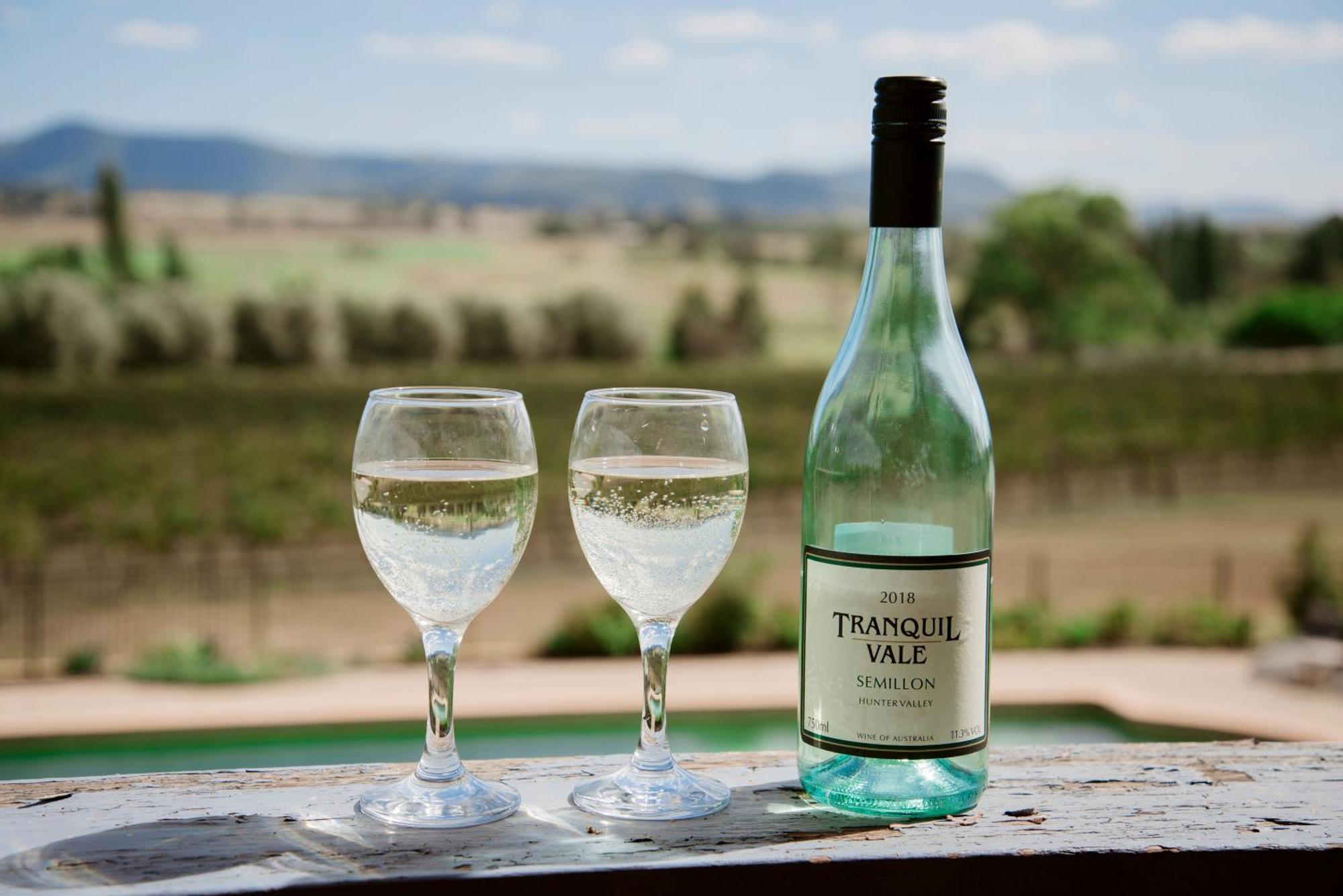 Tranquil Vale Vineyard Hotel Luskintyre Bagian luar foto