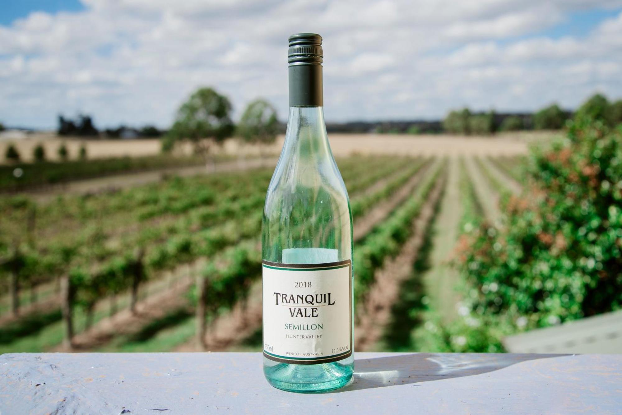 Tranquil Vale Vineyard Hotel Luskintyre Bagian luar foto