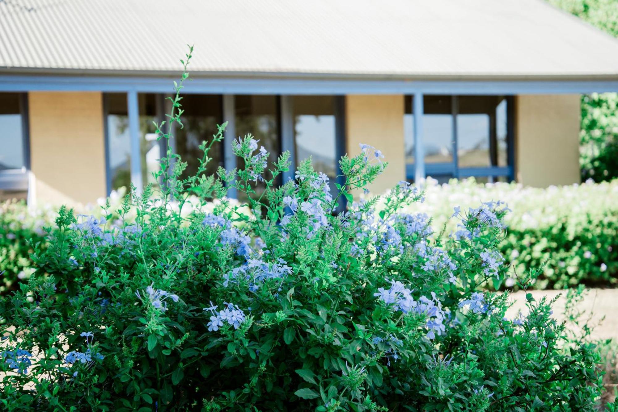 Tranquil Vale Vineyard Hotel Luskintyre Bagian luar foto