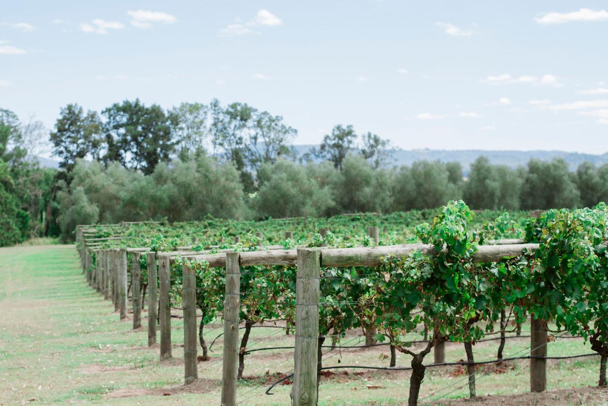 Tranquil Vale Vineyard Hotel Luskintyre Bagian luar foto