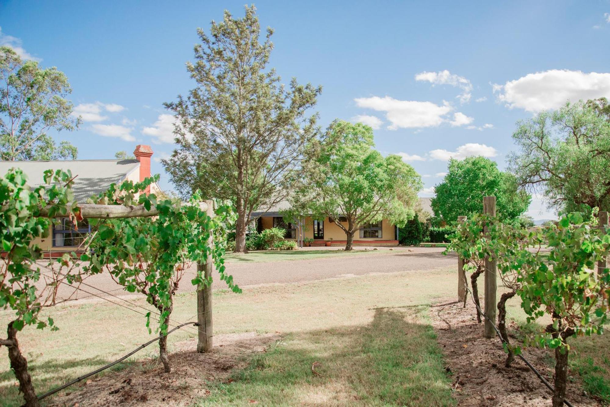 Tranquil Vale Vineyard Hotel Luskintyre Bagian luar foto