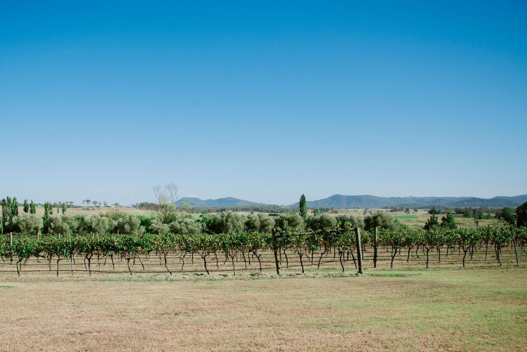 Tranquil Vale Vineyard Hotel Luskintyre Bagian luar foto