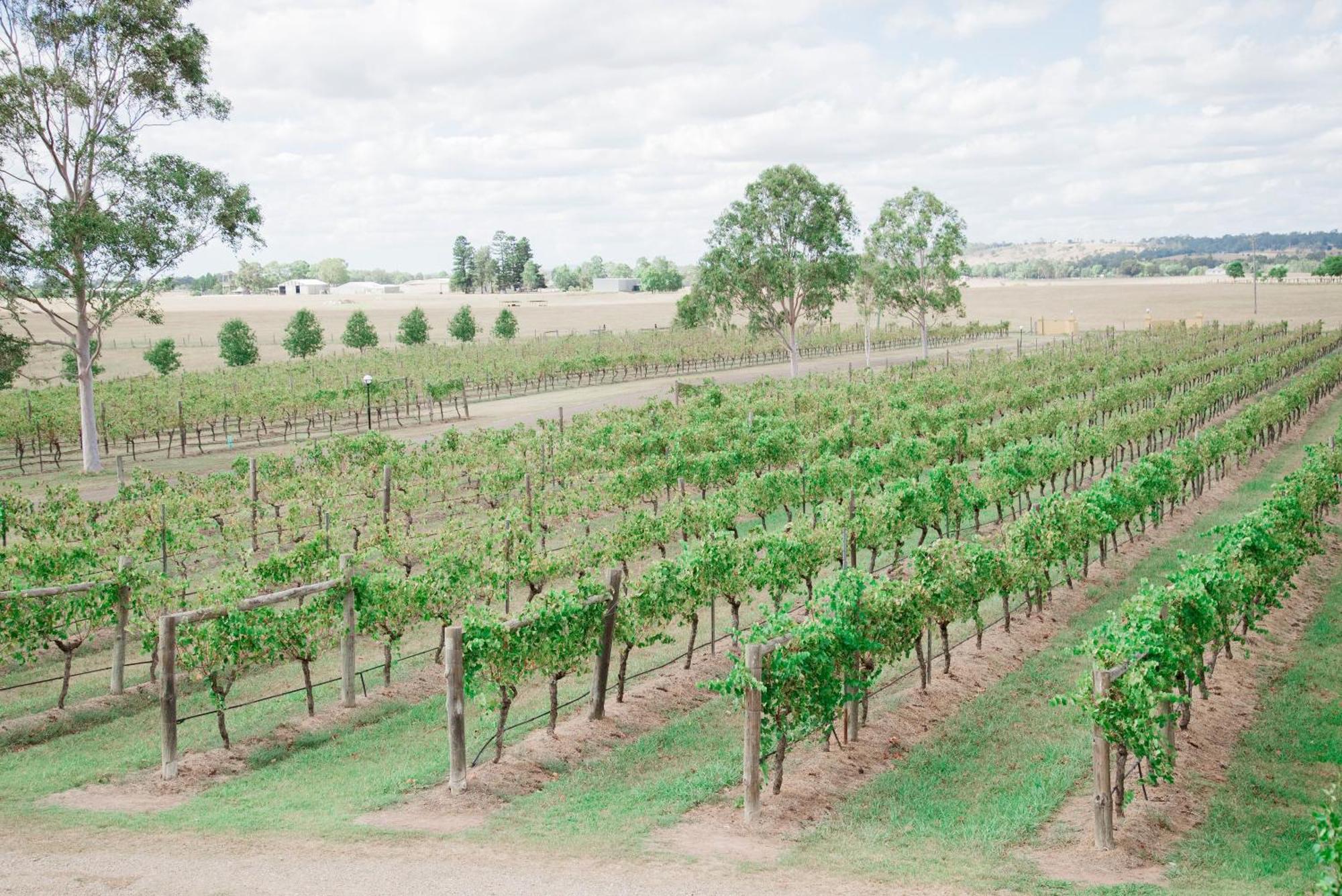 Tranquil Vale Vineyard Hotel Luskintyre Bagian luar foto
