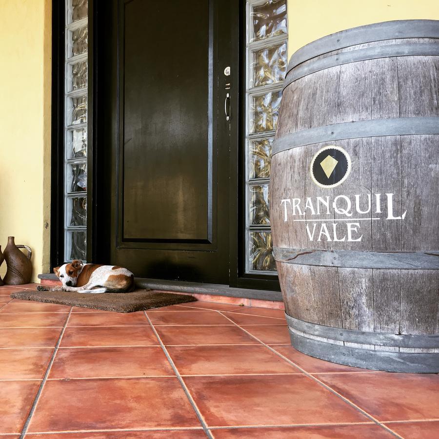 Tranquil Vale Vineyard Hotel Luskintyre Bagian luar foto