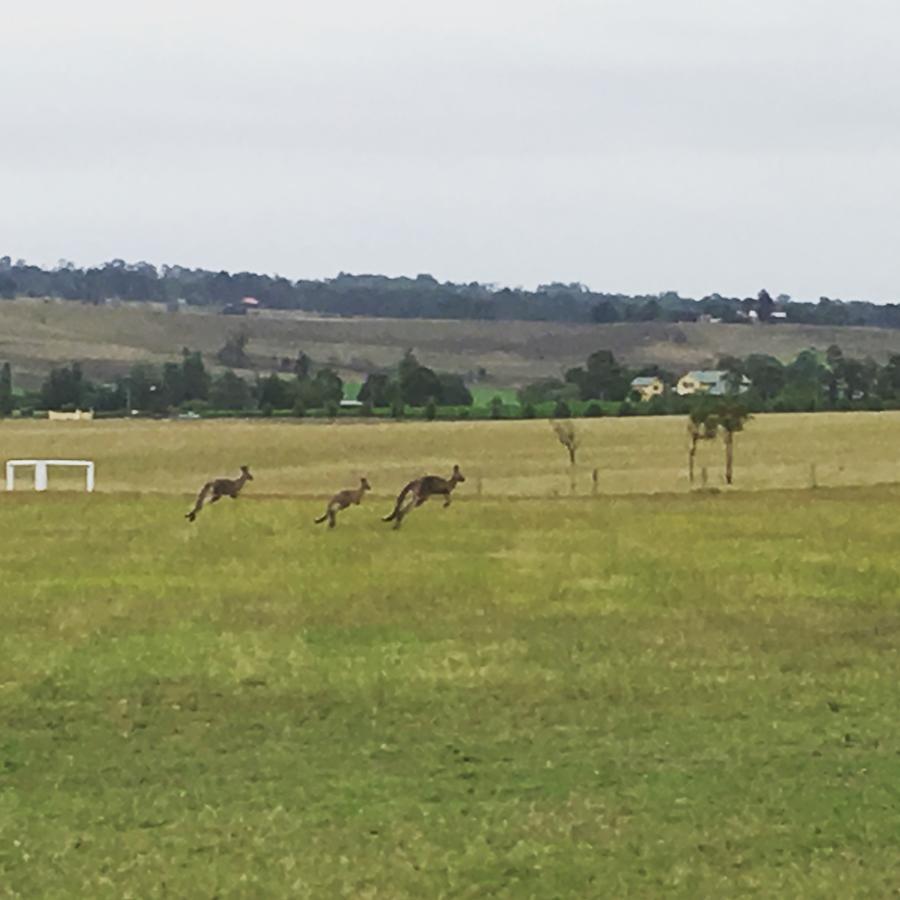 Tranquil Vale Vineyard Hotel Luskintyre Bagian luar foto