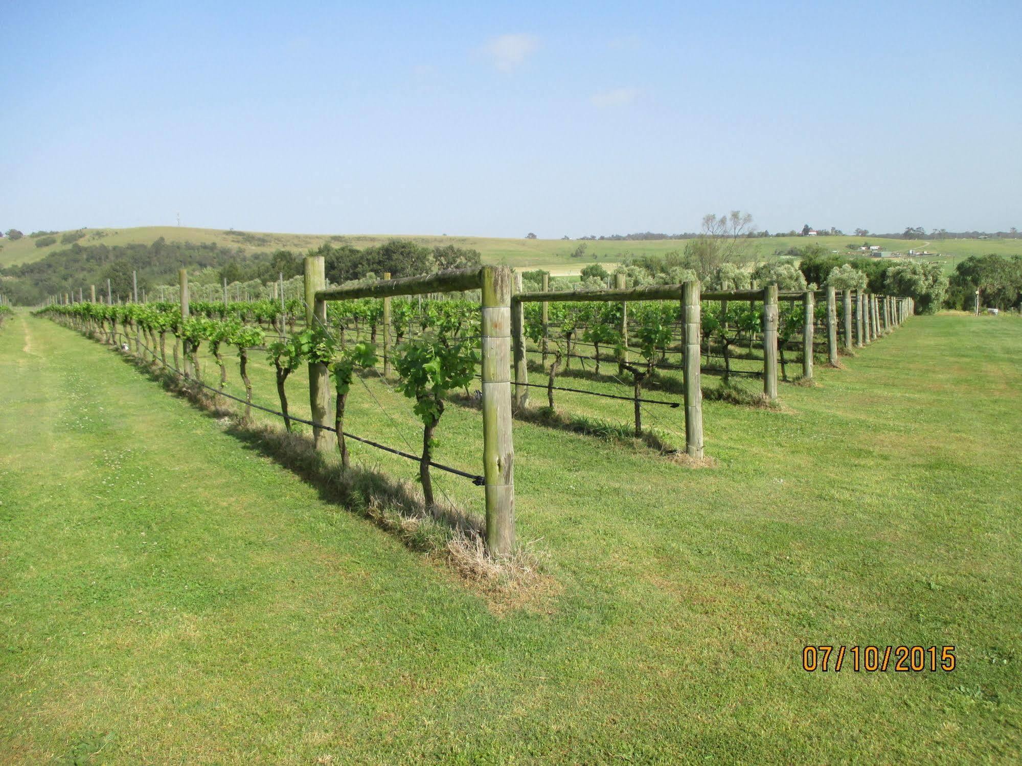 Tranquil Vale Vineyard Hotel Luskintyre Bagian luar foto