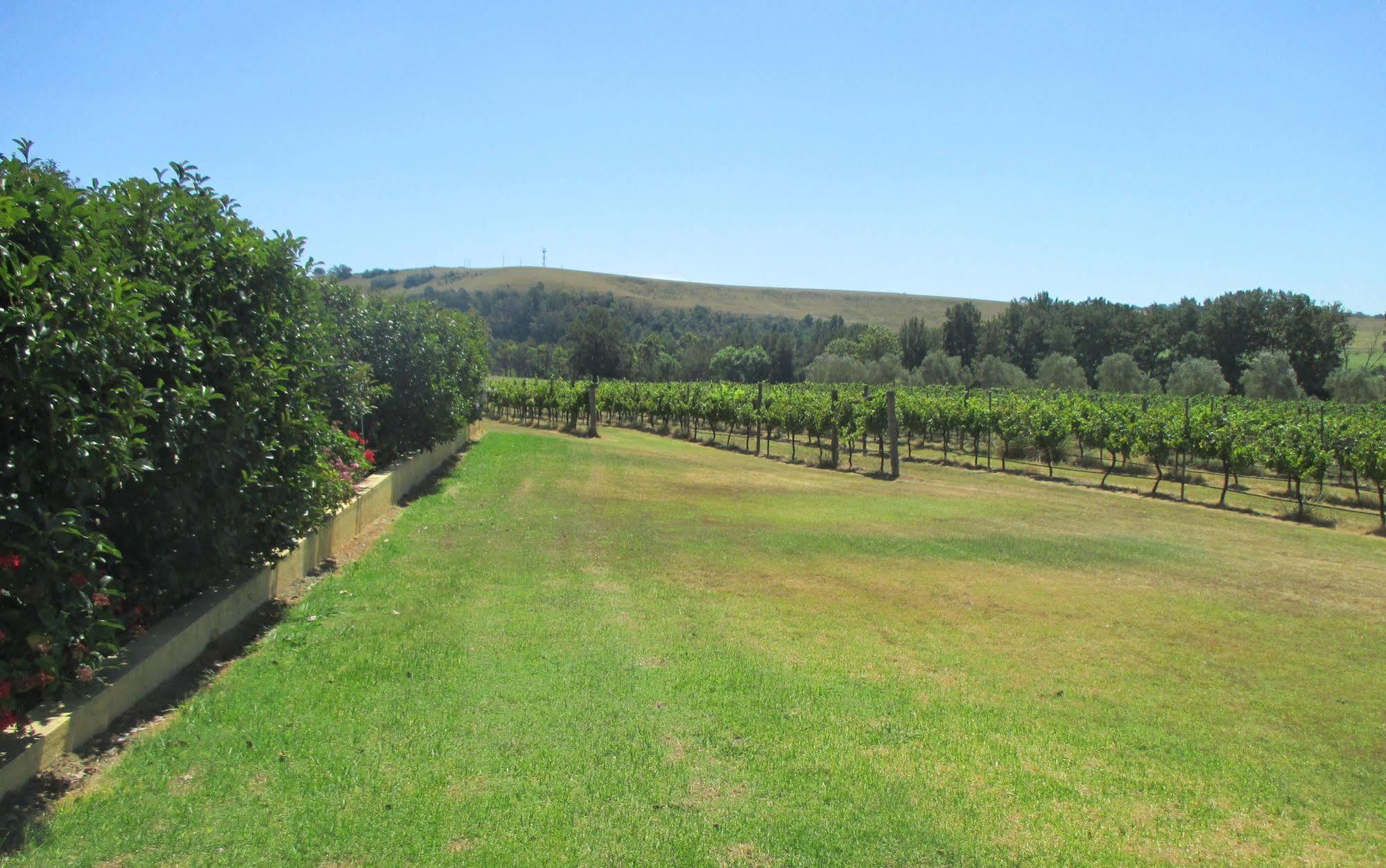 Tranquil Vale Vineyard Hotel Luskintyre Bagian luar foto